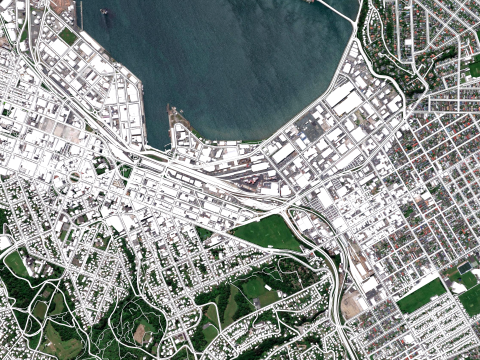 Cityscape Dunedin South Island of New Zealand 3D 模型