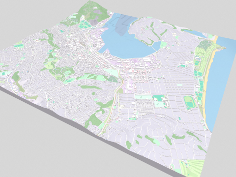 Cityscape Dunedin South Island of New Zealand 3D 模型