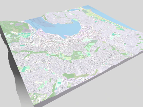Cityscape Dunedin South Island of New Zealand 3D Model