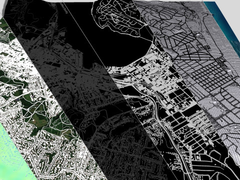 Cityscape Dunedin South Island of New Zealand 3D 模型
