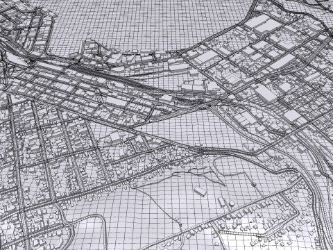 Cityscape Dunedin South Island of New Zealand 3D 模型