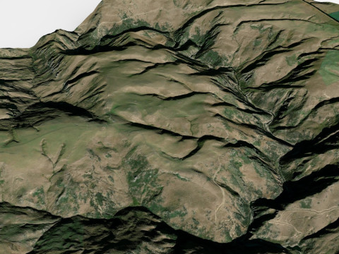 Lamb Hill Northumberland England 3D Model