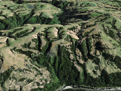 Round Ridge Hill New Zeland 3D 모델