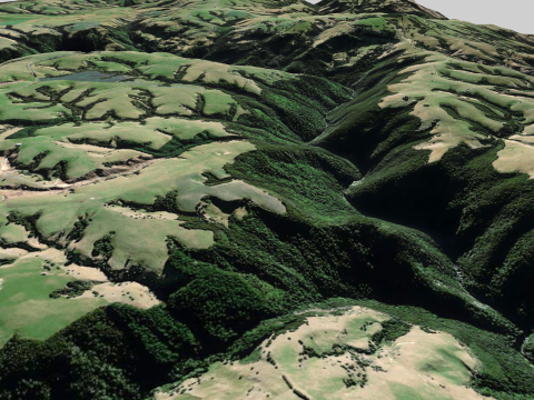Round Ridge Hill New Zeland 3D 모델
