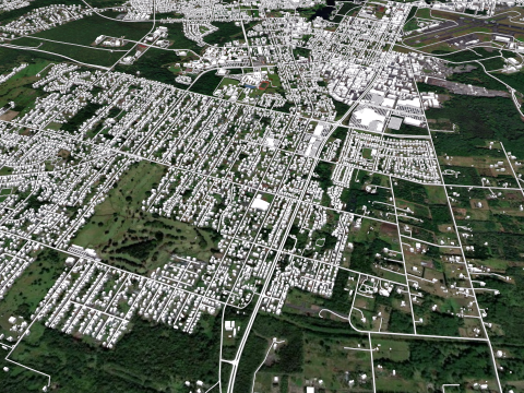 Cityscape Hilo Hawaii 3D Model