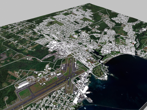 Cityscape Hilo Hawaii 3D Model