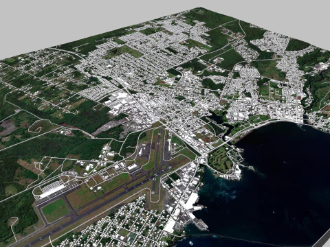 Cityscape Hilo Hawaii 3D Model
