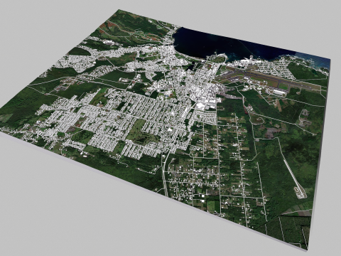 Cityscape Hilo Hawaii 3D Model