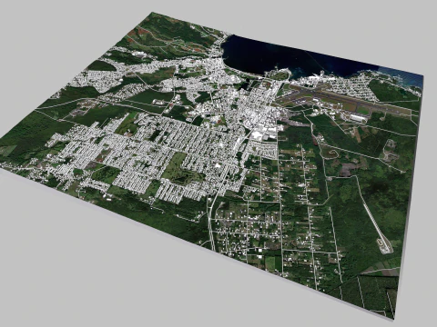 Cityscape Hilo Hawaii 3D Model