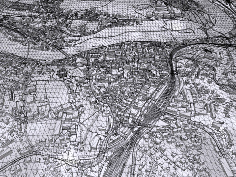 Cityscape Schaffhausen Switzerland 3D Model