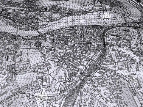 Cityscape Schaffhausen Switzerland 3D Model