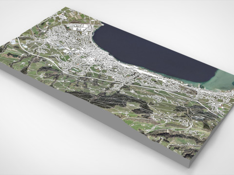 Cityscape Rorschach Switzerland 3D Model