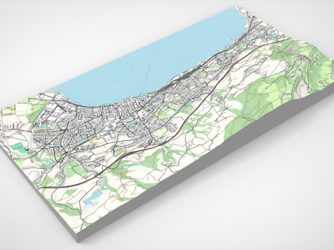 Cityscape Rorschach Switzerland 3D Model