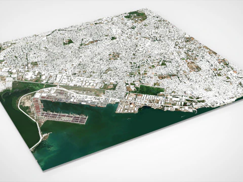 Cityscape Kingston Jamaica 3D Model