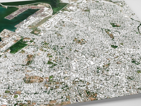 Cityscape Kingston Jamaica Model 3D