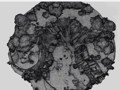 Spherical Island with Lake 3D 모델