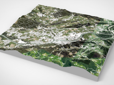 Cityscape Hallein Austria 3D Model