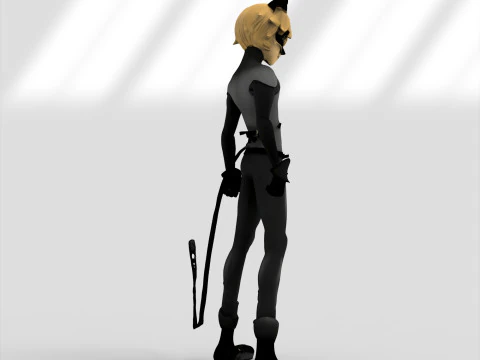 h&eacute;roe gato Modelo 3D