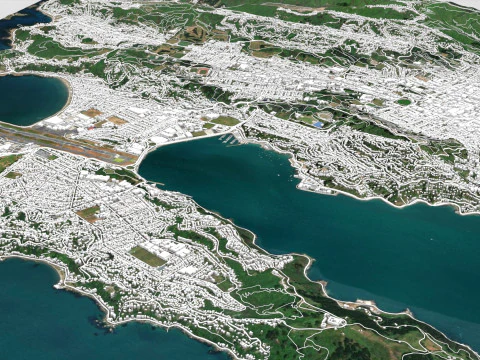 Paesaggio urbano Wellington Nuova Zelanda Modello 3D