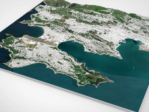 Paesaggio urbano Wellington Nuova Zelanda Modello 3D