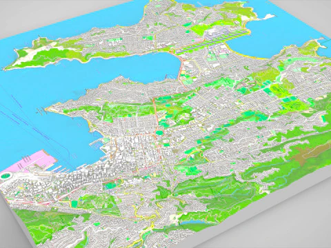 Paesaggio urbano Wellington Nuova Zelanda Modello 3D