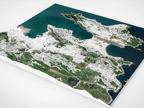 Paesaggio urbano Wellington Nuova Zelanda Modello 3D