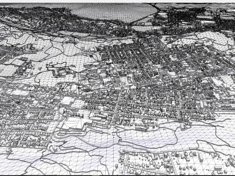 Paesaggio urbano Wellington Nuova Zelanda Modello 3D