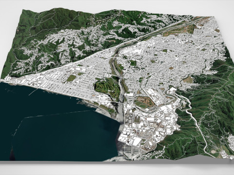 Paesaggio urbano Lower Hutt Nuova Zelanda Modello 3D
