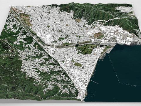 Paesaggio urbano Lower Hutt Nuova Zelanda Modello 3D