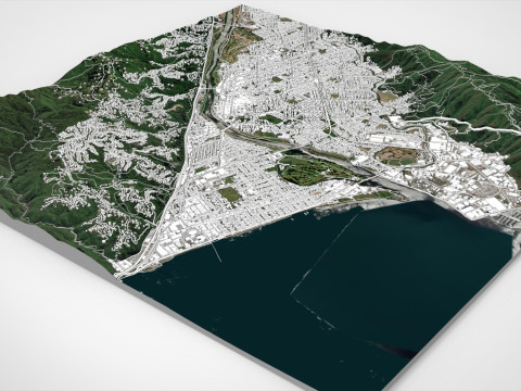 Paesaggio urbano Lower Hutt Nuova Zelanda Modello 3D