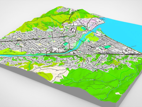 Paesaggio urbano Lower Hutt Nuova Zelanda Modello 3D