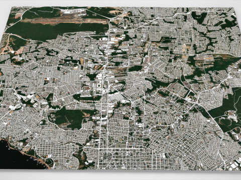 Stadsgezicht Manaus Brazili&euml; 3D Model