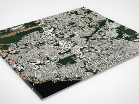 Stadsgezicht Manaus Brazili&euml; 3D Model