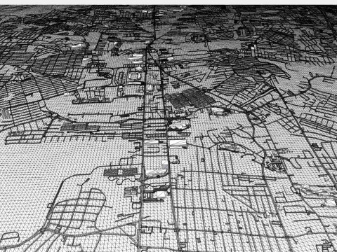 Stadsgezicht Manaus Brazili&euml; 3D Model