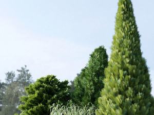 Alpine Hill 04 3D Модель