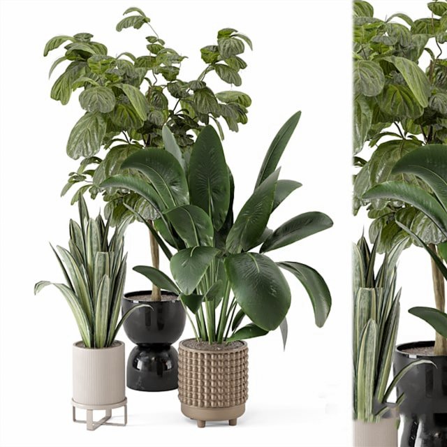 Indoor Plants in Ferm Living Bau Pot Large 3D Модель .c4d .max .obj .3ds .fbx .stl .blend 