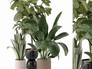 Indoor Plants in Ferm Living Bau Pot Large 3D Model