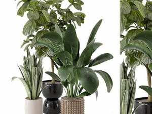Indoor Plants in Ferm Living Bau Pot Large 3D मॉडल