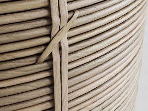 Cactus in basket 3D 모델
