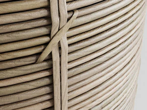 Cactus in basket 3D Model