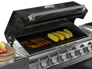 Whistler Outdoor Grill Modelo 3D