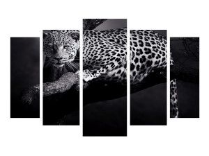 modular picture Modelo 3D