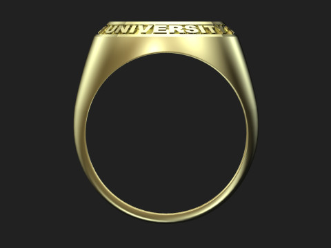 New york university ring 3D प्रिंट मॉडल