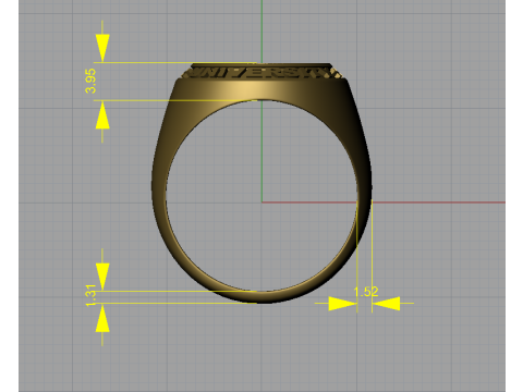 New york university ring 3D प्रिंट मॉडल