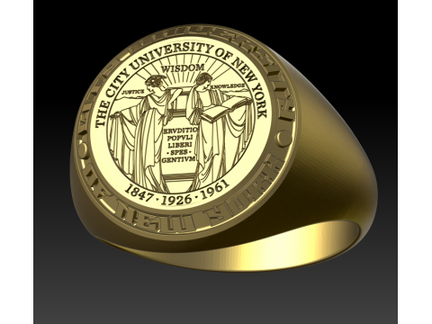 New York university ring 3D 打印模型