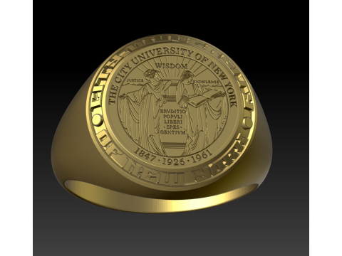 New York university ring 3D 打印模型