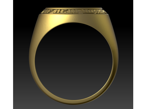 New York university ring 3D 打印模型