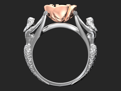 Fantasy ring 3D Baskı Modeli