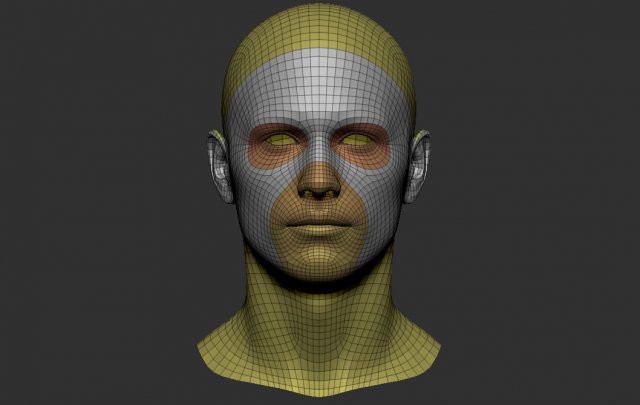 Head basemesh Modelo 3D .c4d .max .obj .3ds .fbx .stl .blend 