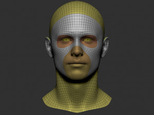 Head basemesh 3D 모델